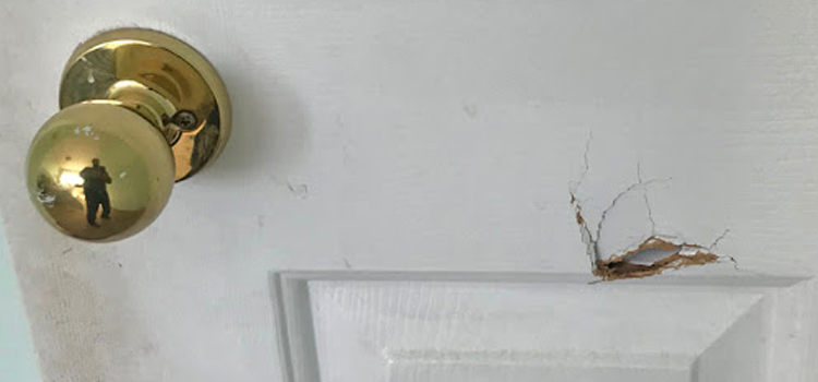 interior door hole repair View Park-Windsor Hills