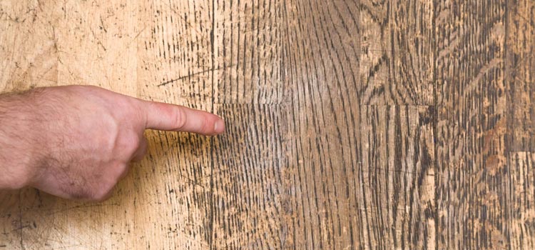 Wood Door Scratch Repair in View Park-Windsor Hills